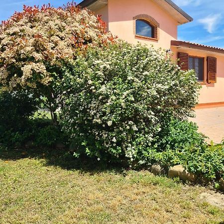 Montepulciano - La Casetta Del Pian Delle Noci Acquaviva  Екстериор снимка