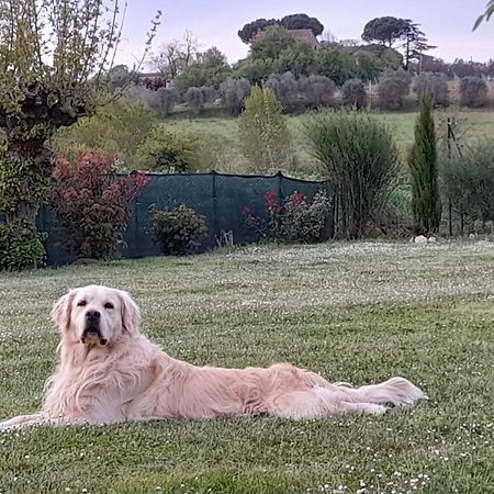 Montepulciano - La Casetta Del Pian Delle Noci Acquaviva  Екстериор снимка