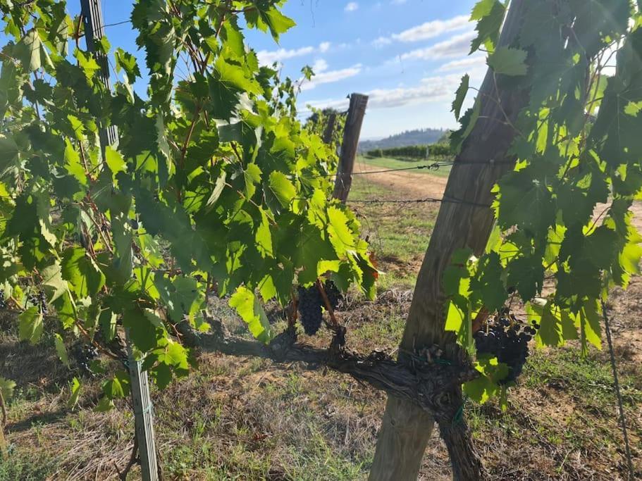 Montepulciano - La Casetta Del Pian Delle Noci Acquaviva  Екстериор снимка