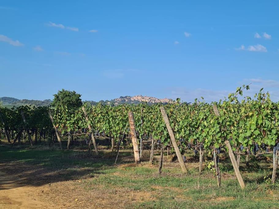 Montepulciano - La Casetta Del Pian Delle Noci Acquaviva  Екстериор снимка