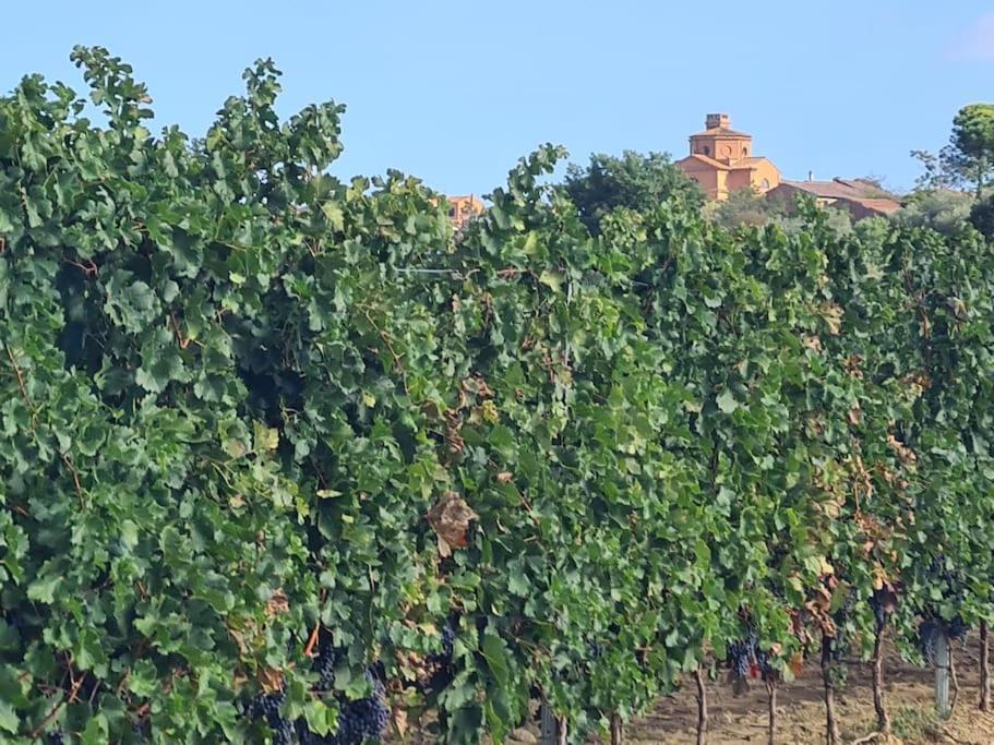 Montepulciano - La Casetta Del Pian Delle Noci Acquaviva  Екстериор снимка