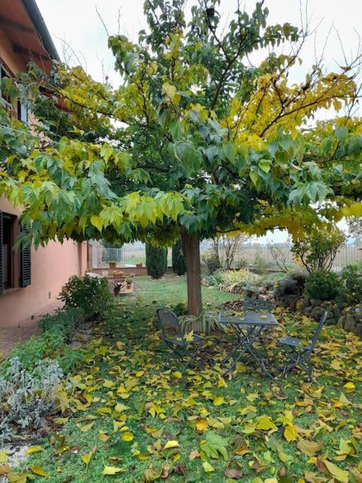 Montepulciano - La Casetta Del Pian Delle Noci Acquaviva  Екстериор снимка