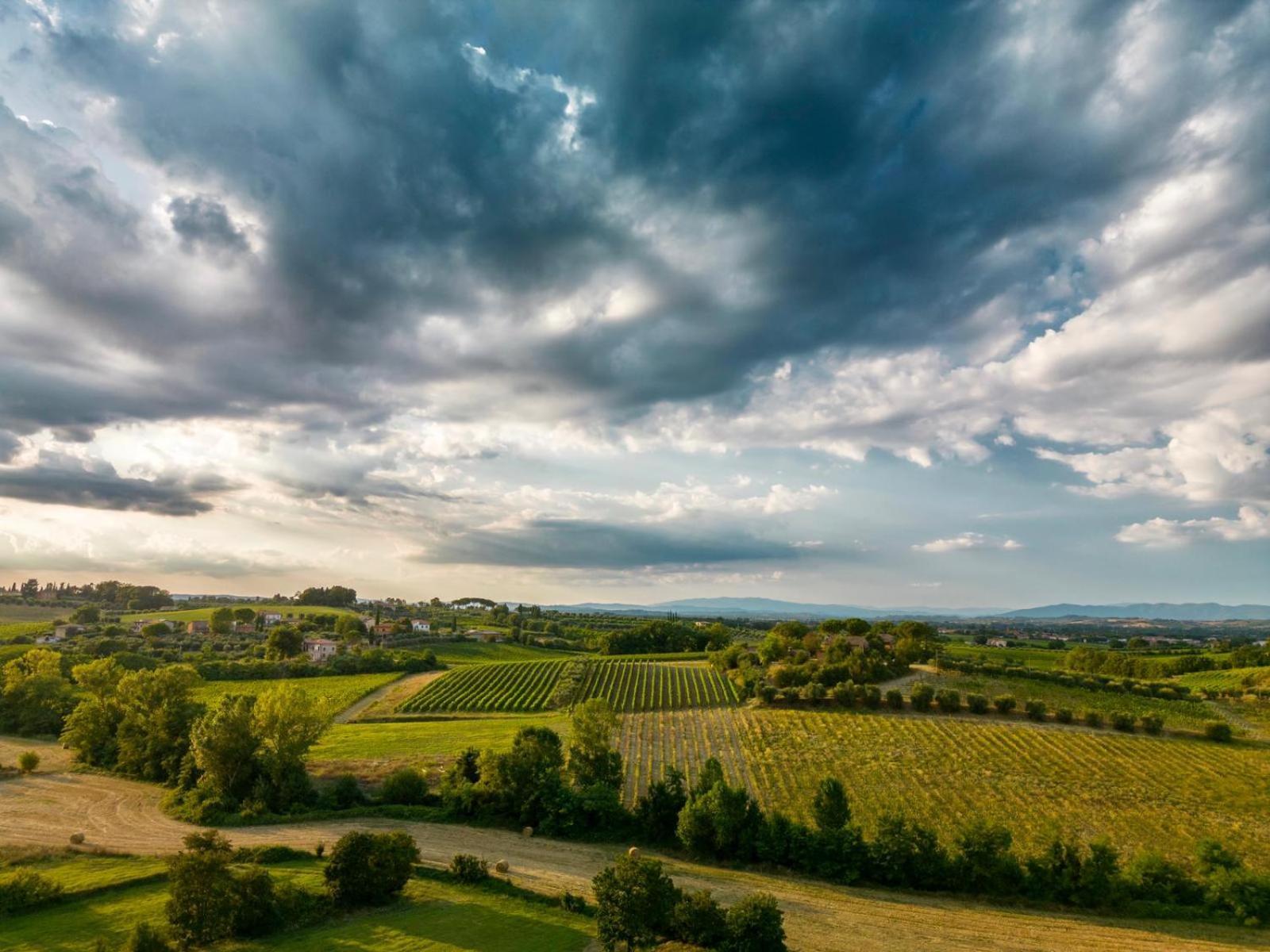 Montepulciano - La Casetta Del Pian Delle Noci Acquaviva  Екстериор снимка