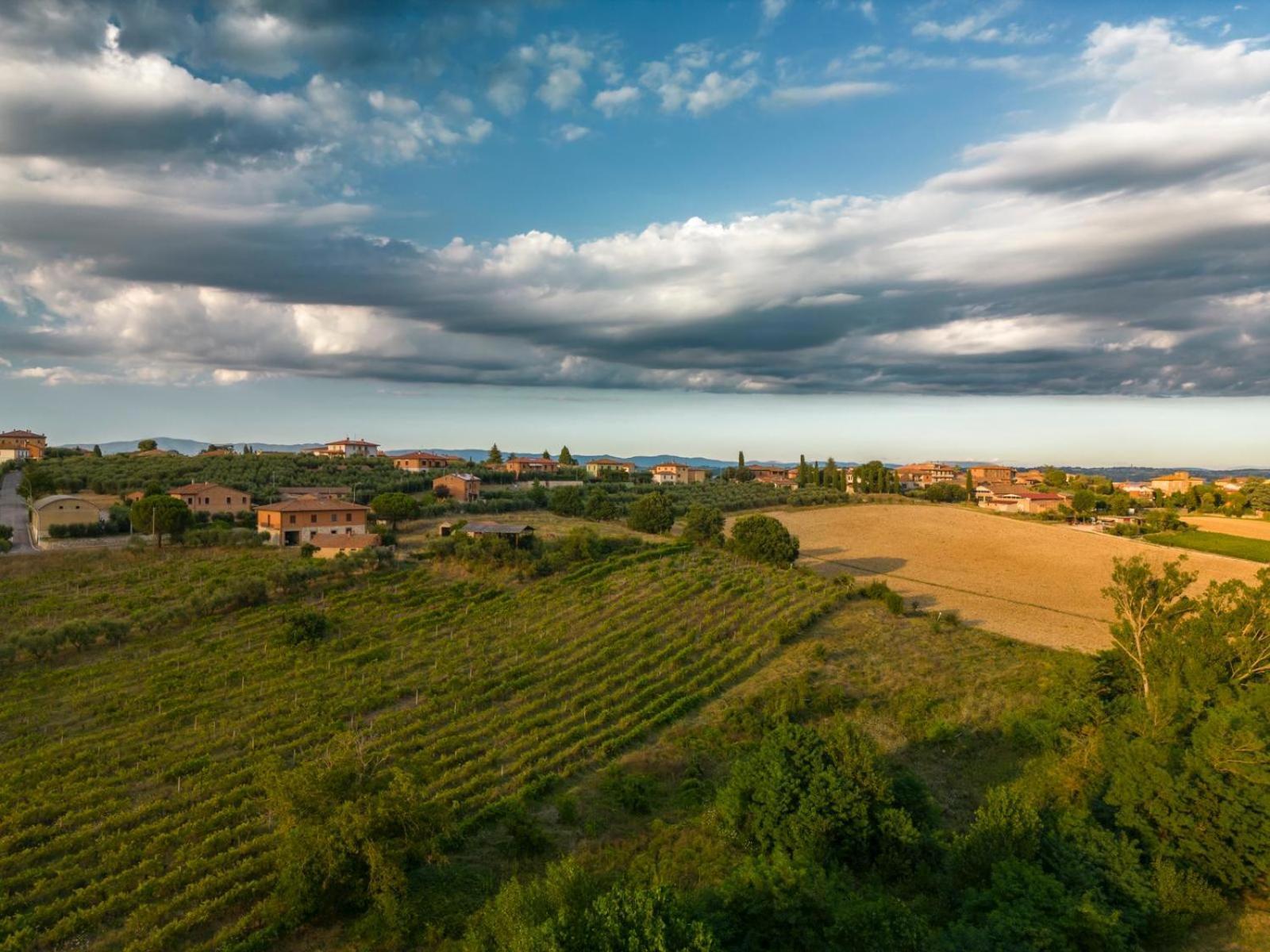 Montepulciano - La Casetta Del Pian Delle Noci Acquaviva  Екстериор снимка