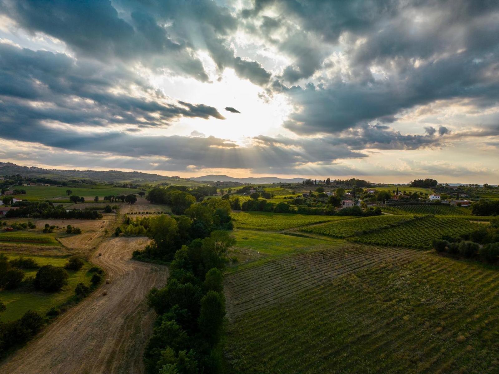 Montepulciano - La Casetta Del Pian Delle Noci Acquaviva  Екстериор снимка