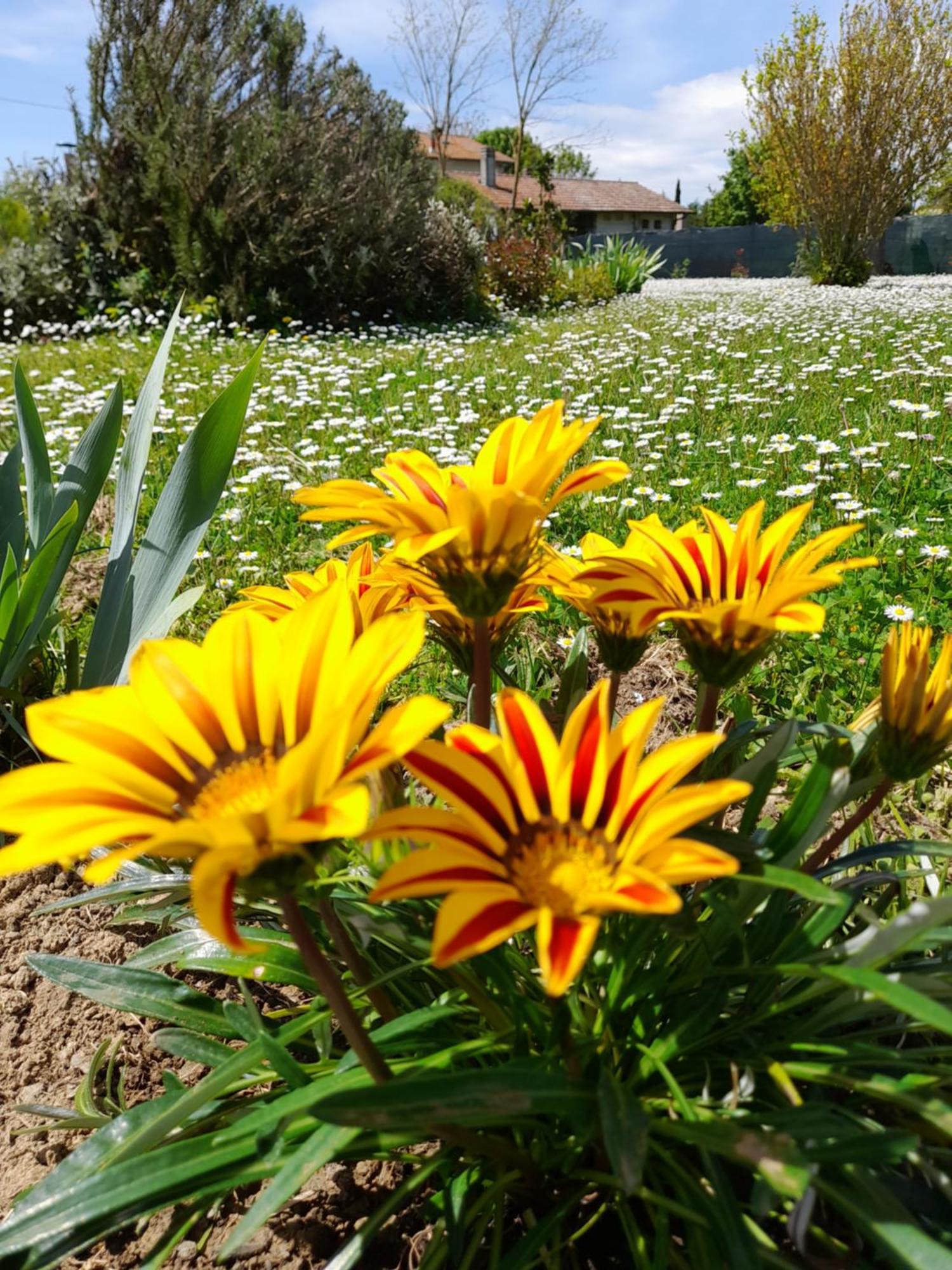 Montepulciano - La Casetta Del Pian Delle Noci Acquaviva  Екстериор снимка